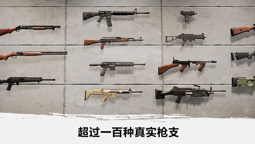 绝地吃鸡iOS