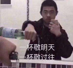 敬你一杯表情包