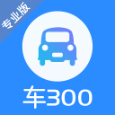车300专业版 车300专业版