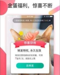 抖淘短视频手机版下载_抖淘短视频手机版下载app下载_抖淘短视频手机版下载手机版