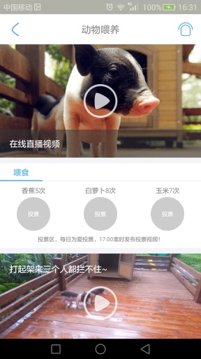 天空之城app_天空之城app电脑版下载_天空之城app中文版下载