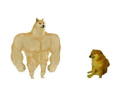 肌肉doge与小废狗表情包