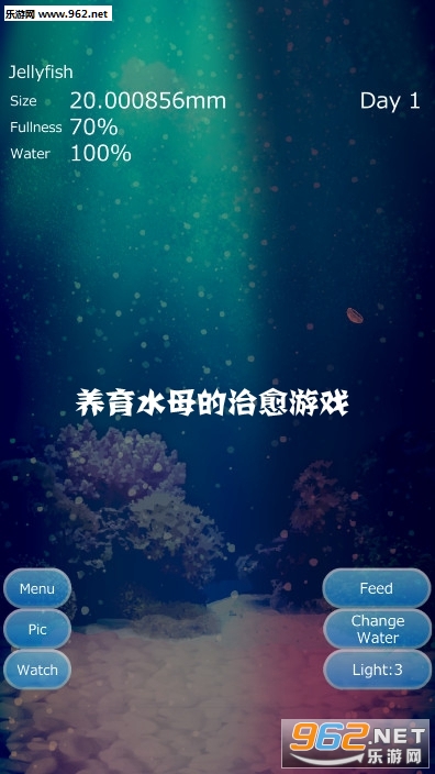 养育水母的治愈游戏