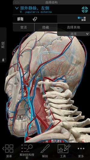 visiblebody官方下载_visiblebody官方下载官方版