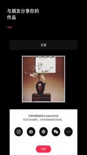 vuevlog破解版下载_vuevlog破解版下载小游戏_vuevlog破解版下载中文版