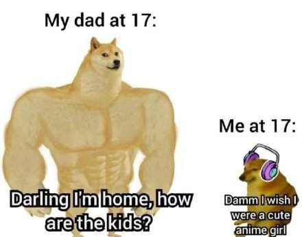 肌肉doge与小废狗表情包