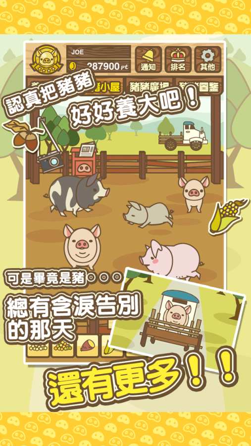 养猪场MIXapp_养猪场MIXapp手机版安卓_养猪场MIXapp破解版下载