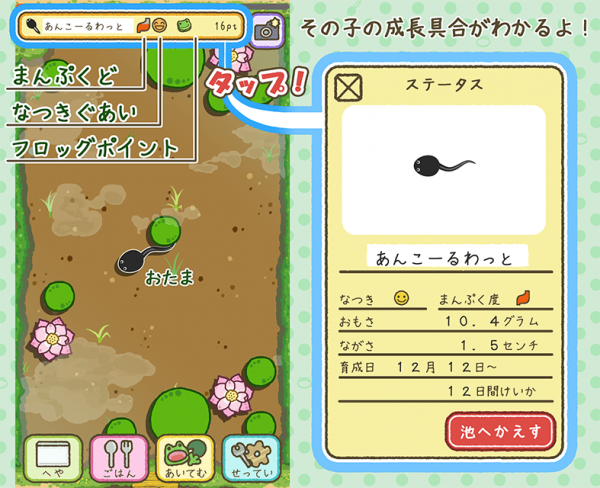 青蛙every day ios版