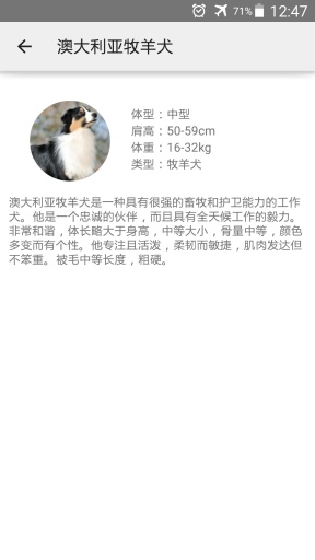 狗狗大全app_狗狗大全app中文版下载_狗狗大全app官方正版