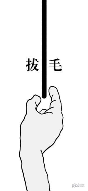拔条毛