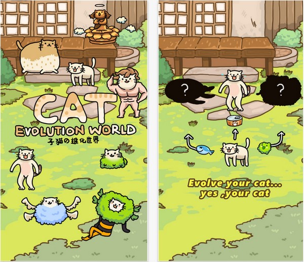 猫的进化世界破解版