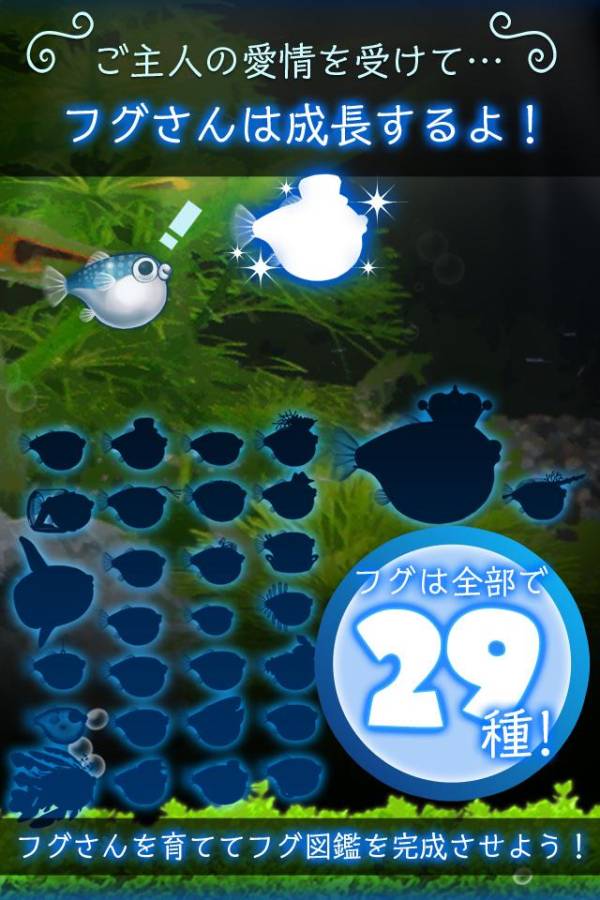 我的河豚鱼水族馆app_我的河豚鱼水族馆app安卓版下载V1.0_我的河豚鱼水族馆appapp下载