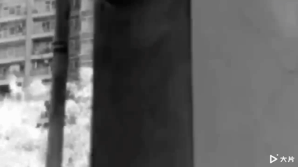 大片短视频下载
