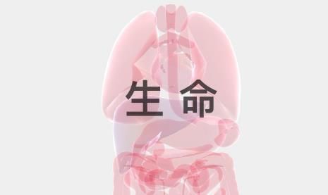生命life官方版怎么下载？官方版最新下载地址分享[多图]图片1