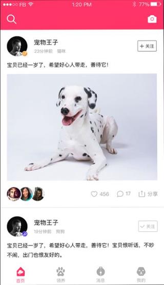 养养宠物IOS