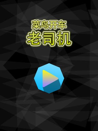 老鸟司机赛车ios版