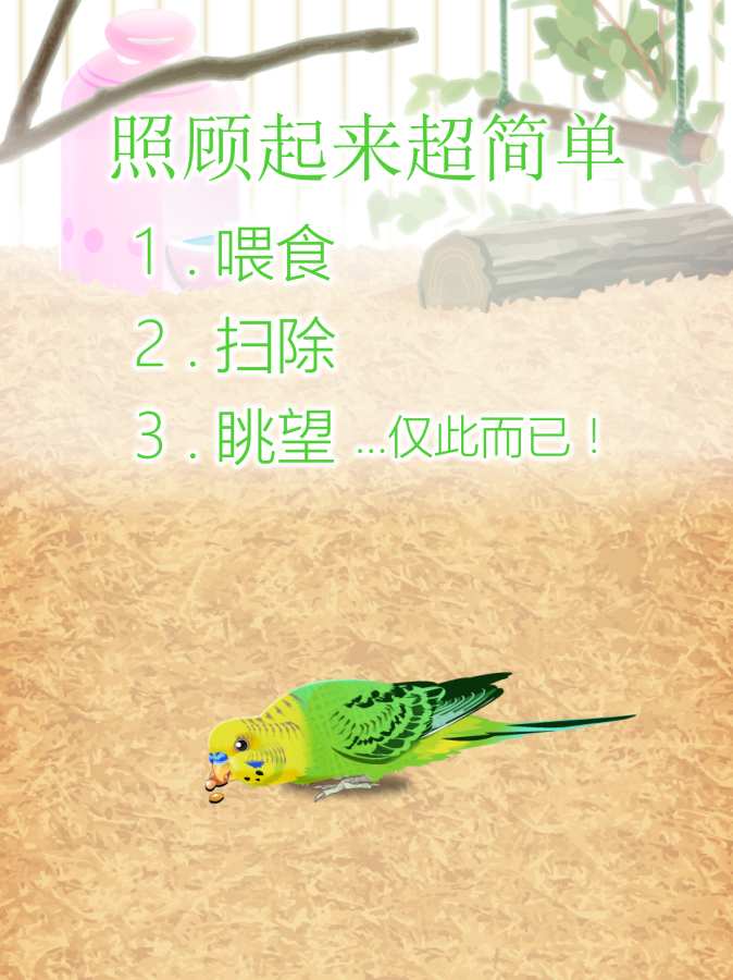 治愈的鹦鹉育成游戏app_治愈的鹦鹉育成游戏app手机游戏下载_治愈的鹦鹉育成游戏app最新版下载