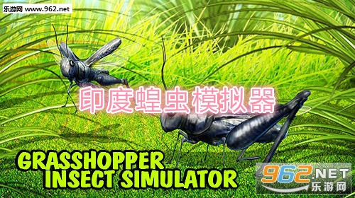 印度蝗虫模拟器中文版