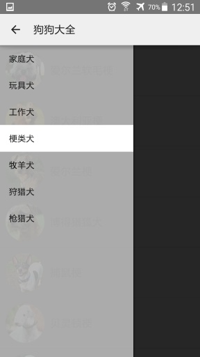 狗狗大全app_狗狗大全app中文版下载_狗狗大全app官方正版