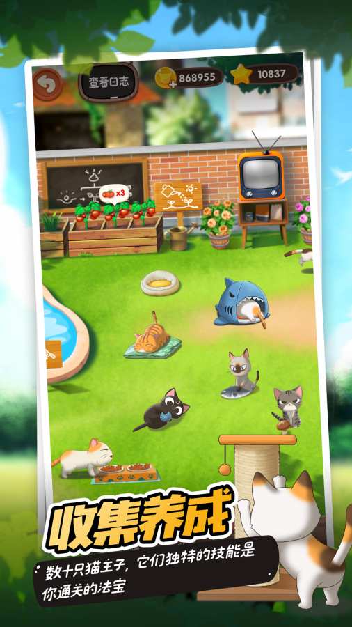 猫语咖啡 安卓版app_猫语咖啡 安卓版app电脑版下载_猫语咖啡 安卓版app下载