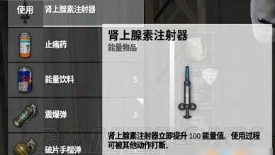 绝地求生大逃杀官网下载