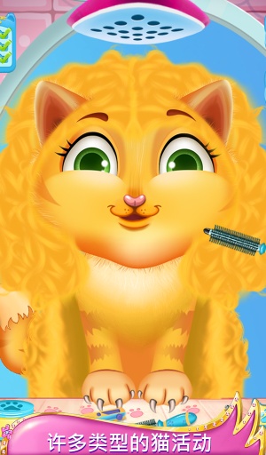 疯狂的猫改头换面app_疯狂的猫改头换面app最新版下载_疯狂的猫改头换面app手机游戏下载