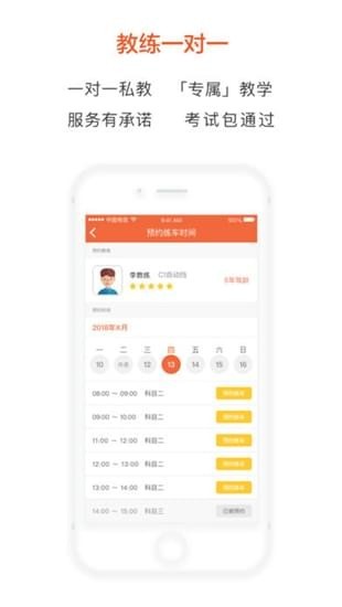 鹦鹉学车