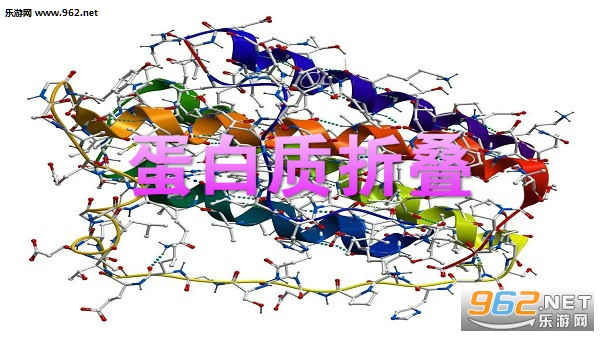 蛋白质折叠游戏foldit汉化版