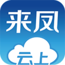 云上来凤 云上来凤
