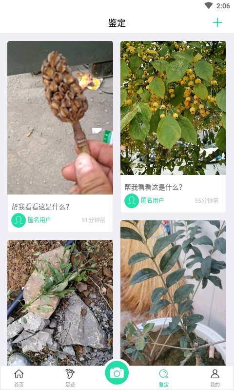 掌上植物网下载_掌上植物网下载安卓版下载V1.0_掌上植物网下载小游戏