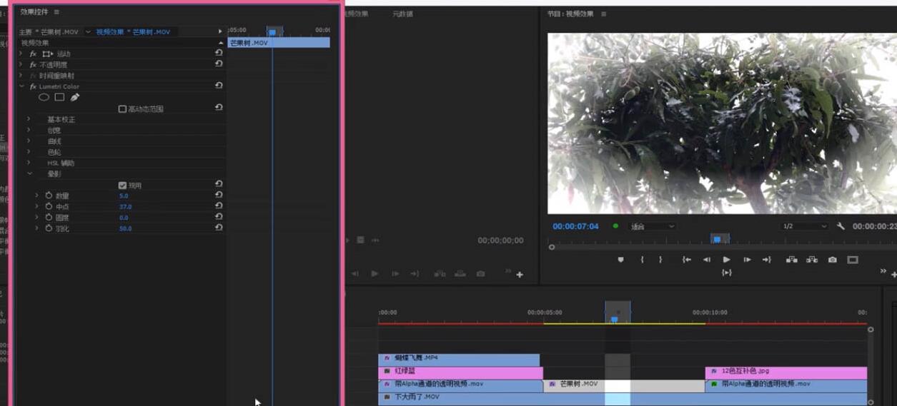premiere镜头晕影效果的制作教程