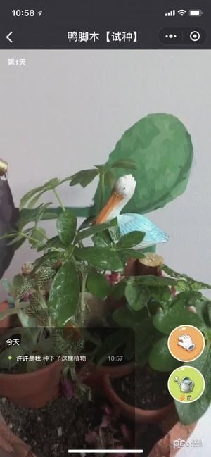 水滴农场手机版下载