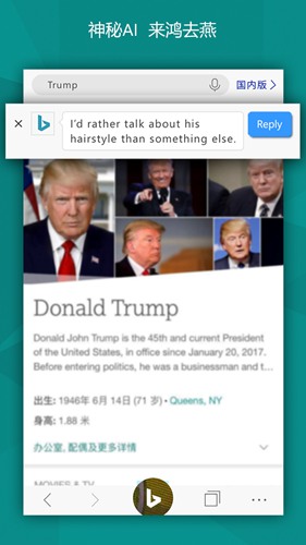 微软bing国际版app下载
