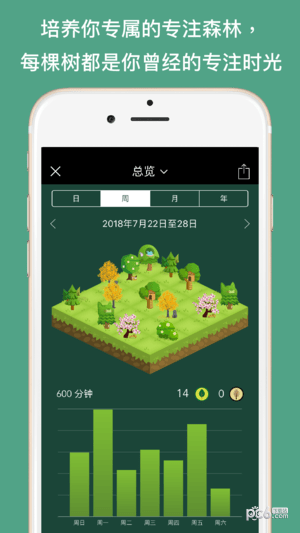 forest专注森林