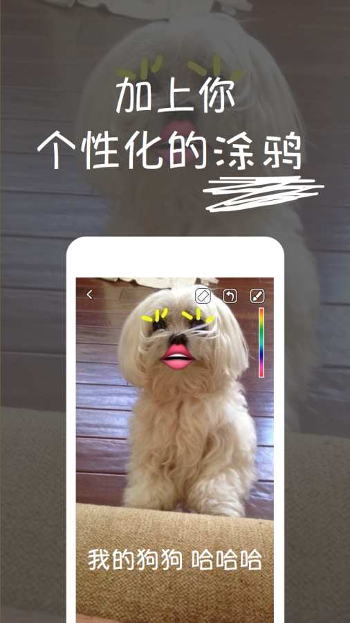 Send-全新图片聊天应用app_Send-全新图片聊天应用app手机版