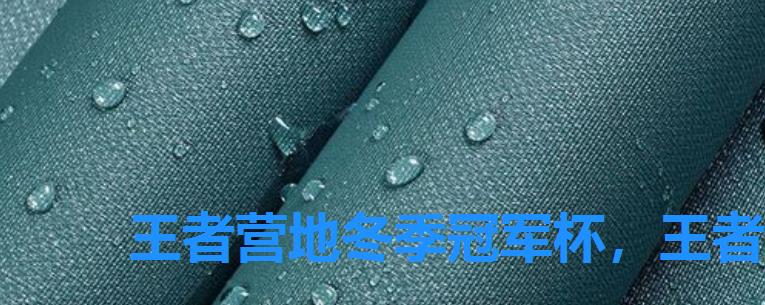 王者营地冬季冠军杯,王者荣耀营地杯积分 王者营地冬季冠军杯,王者荣耀营地杯积分