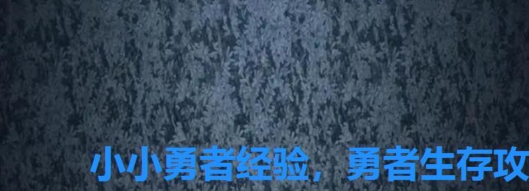 小小勇者经验,勇者生存攻略 小小勇者经验,勇者生存攻略