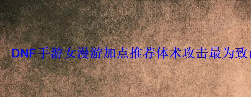 DNF手游女漫游加点推荐体术攻击最为致命 DNF手游女漫游加点推荐体术攻击最为致命