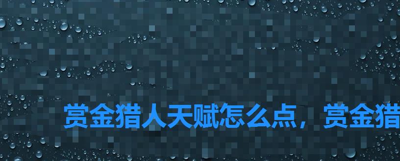 赏金猎人天赋怎么点,赏金猎人传奇任务 赏金猎人天赋怎么点,赏金猎人传奇任务