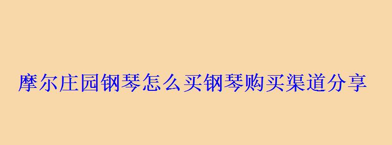 摩尔庄园钢琴怎么买钢琴购买渠道分享 摩尔庄园钢琴怎么买钢琴购买渠道分享