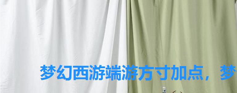 梦幻西游端游方寸加点,梦幻西游方寸现在怎么加点 梦幻西游端游方寸加点,梦幻西游方寸现在怎么加点
