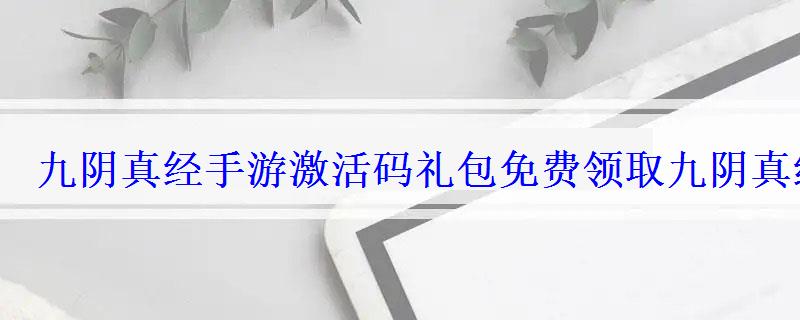 九阴真经手游激活码礼包免费领取九阴真经激活码预约 九阴真经手游激活码礼包免费领取九阴真经激活码预约