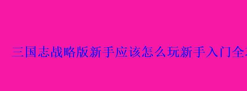 三国志战略版新手应该怎么玩新手入门全攻略 三国志战略版新手应该怎么玩新手入门全攻略