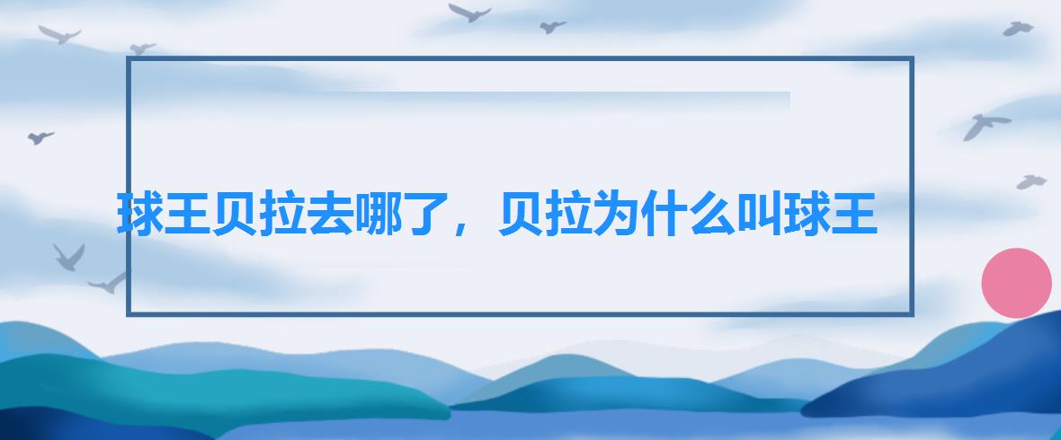 球王贝拉去哪了,贝拉为什么叫球王 球王贝拉去哪了,贝拉为什么叫球王