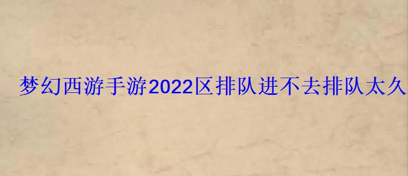 梦幻西游手游2022区排队进不去排队太久怎么办 梦幻西游手游2022区排队进不去排队太久怎么办
