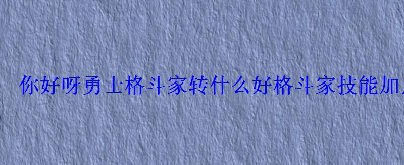 你好呀勇士格斗家转什么好格斗家技能加点 你好呀勇士格斗家转什么好格斗家技能加点