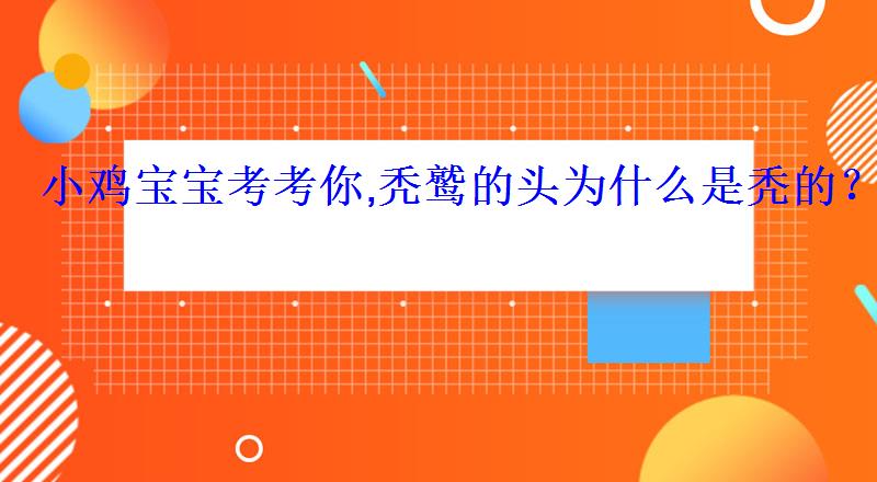 小鸡宝宝考考你,秃鹫的头为什么是秃的? 小鸡宝宝考考你,秃鹫的头为什么是秃的?