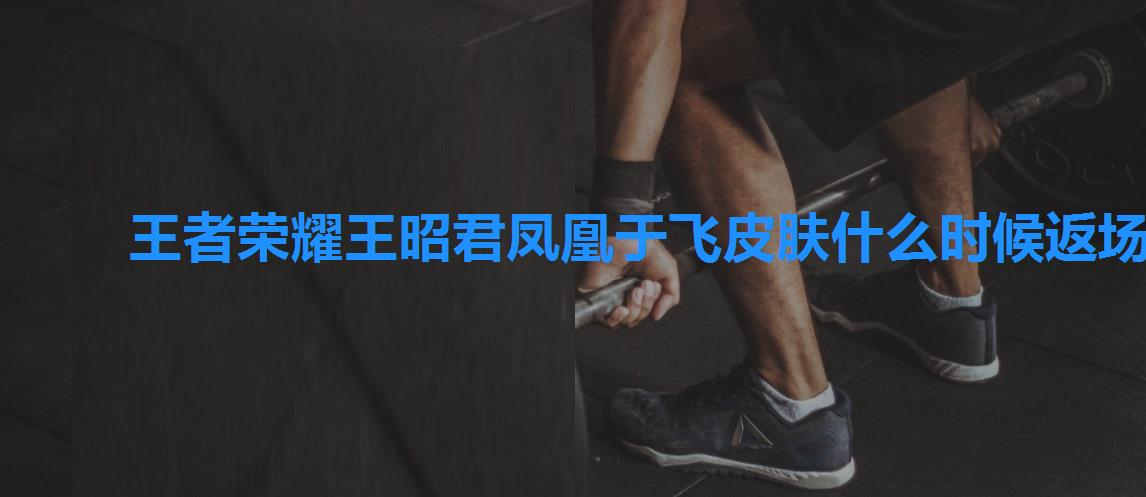 王者荣耀王昭君凤凰于飞皮肤什么时候返场,王昭君凤凰于飞什么时候返场多少钱 王者荣耀王昭君凤凰于飞皮肤什么时候返场,王昭君凤凰于飞什么时候返场多少钱