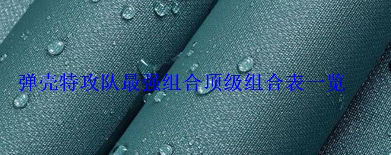 弹壳特攻队最强组合顶级组合表一览 弹壳特攻队最强组合顶级组合表一览
