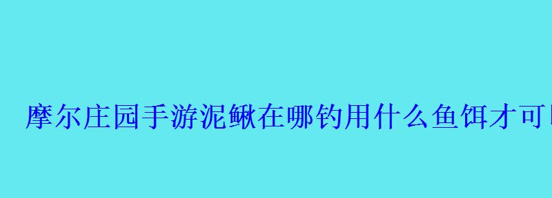 摩尔庄园手游泥鳅在哪钓用什么鱼饵才可以钓到 摩尔庄园手游泥鳅在哪钓用什么鱼饵才可以钓到